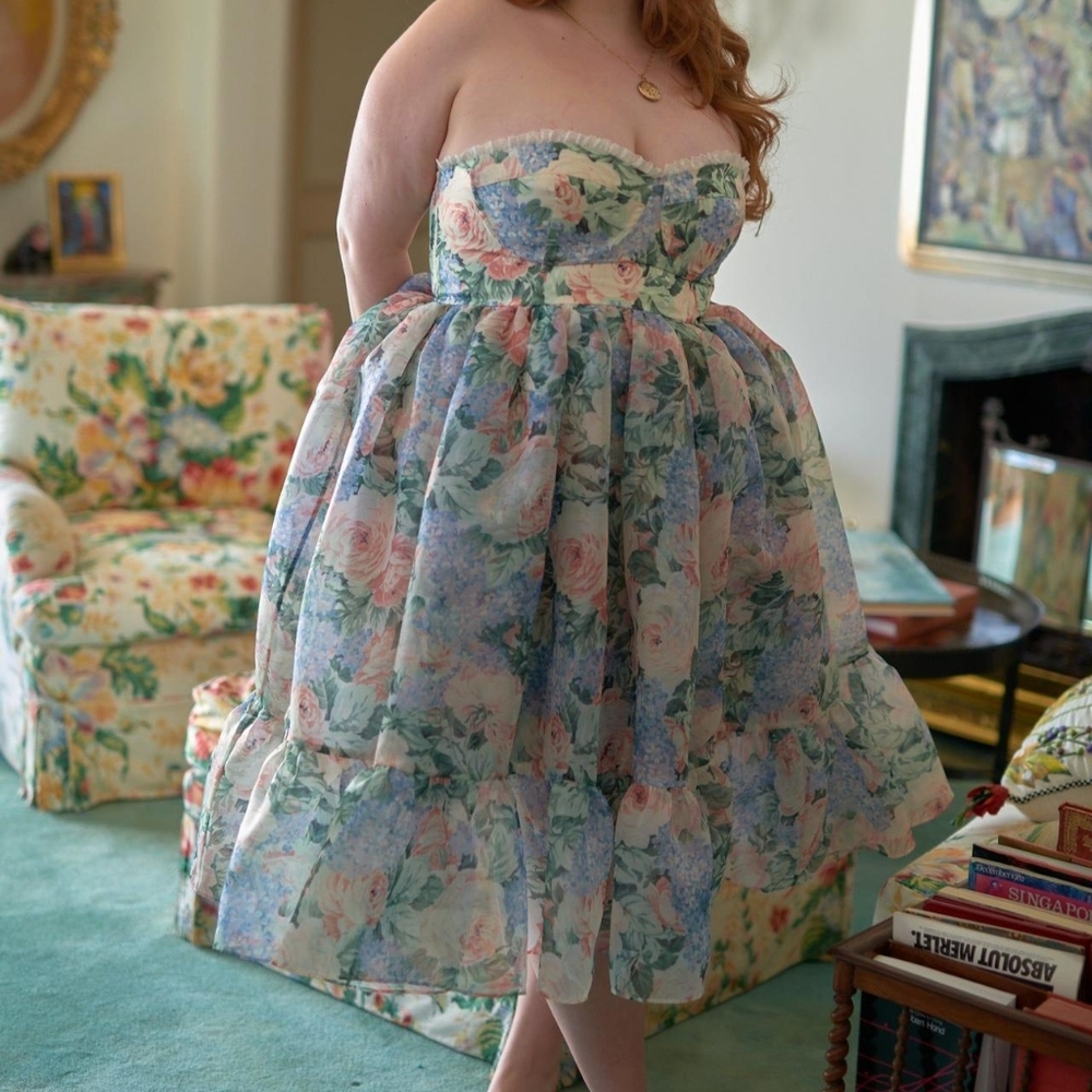 NWT Selkie My So Called Life French Corset Dress